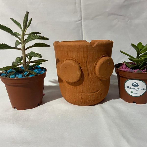 WhatsApp Image 2023-03-29 at 21.05.34